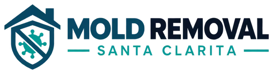 Mold Removal Santa Clarita